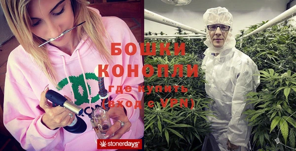 прущая мука Инта