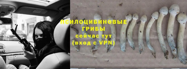стаф Иннополис