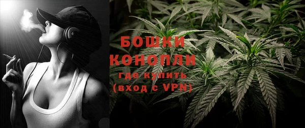 прущая мука Инта